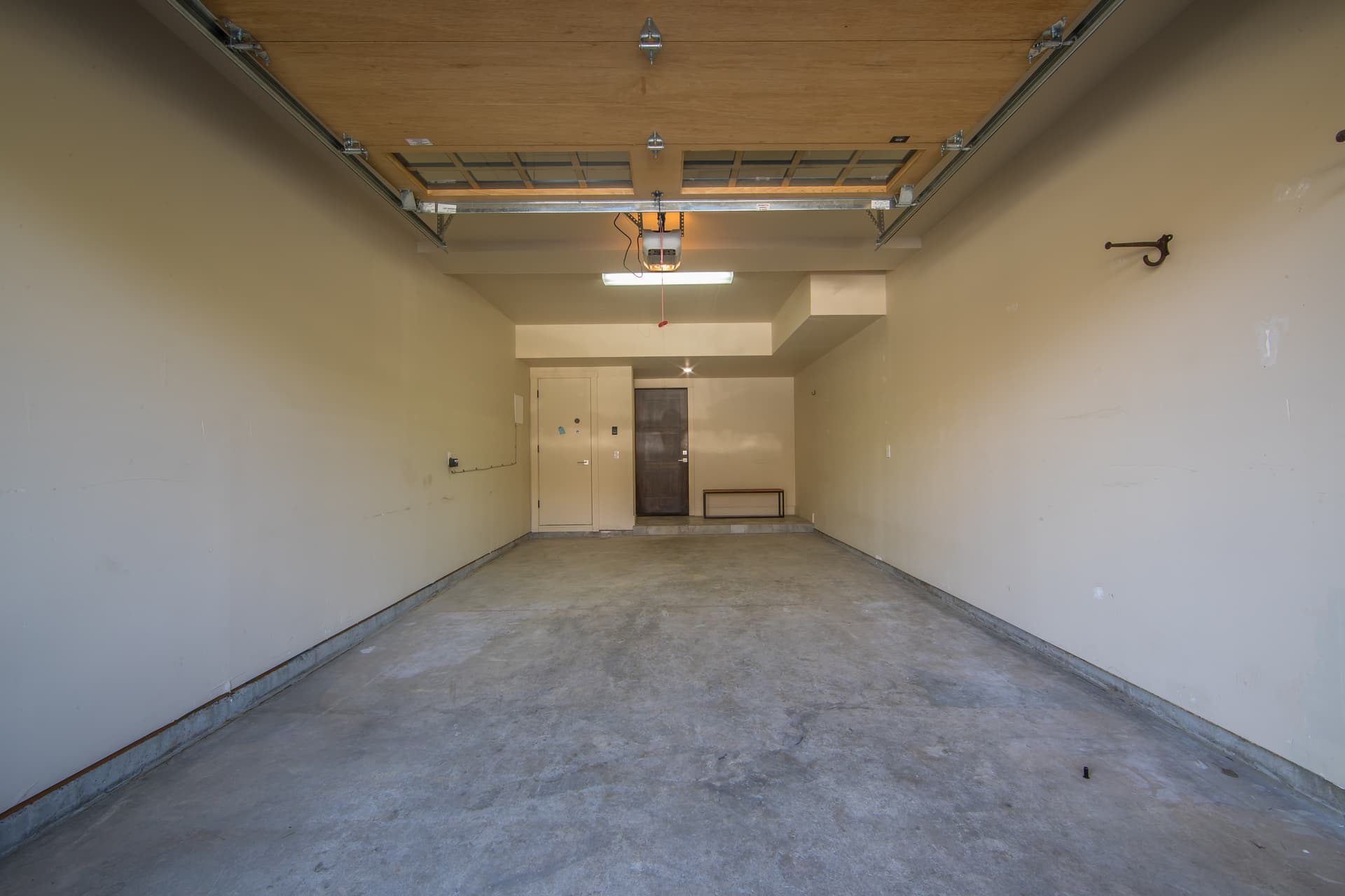 Pheasant #983 - Image 31