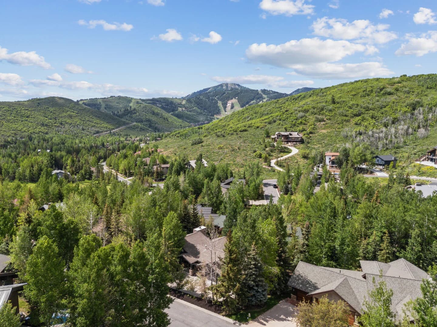 Deer Valley Bliss - Image 3