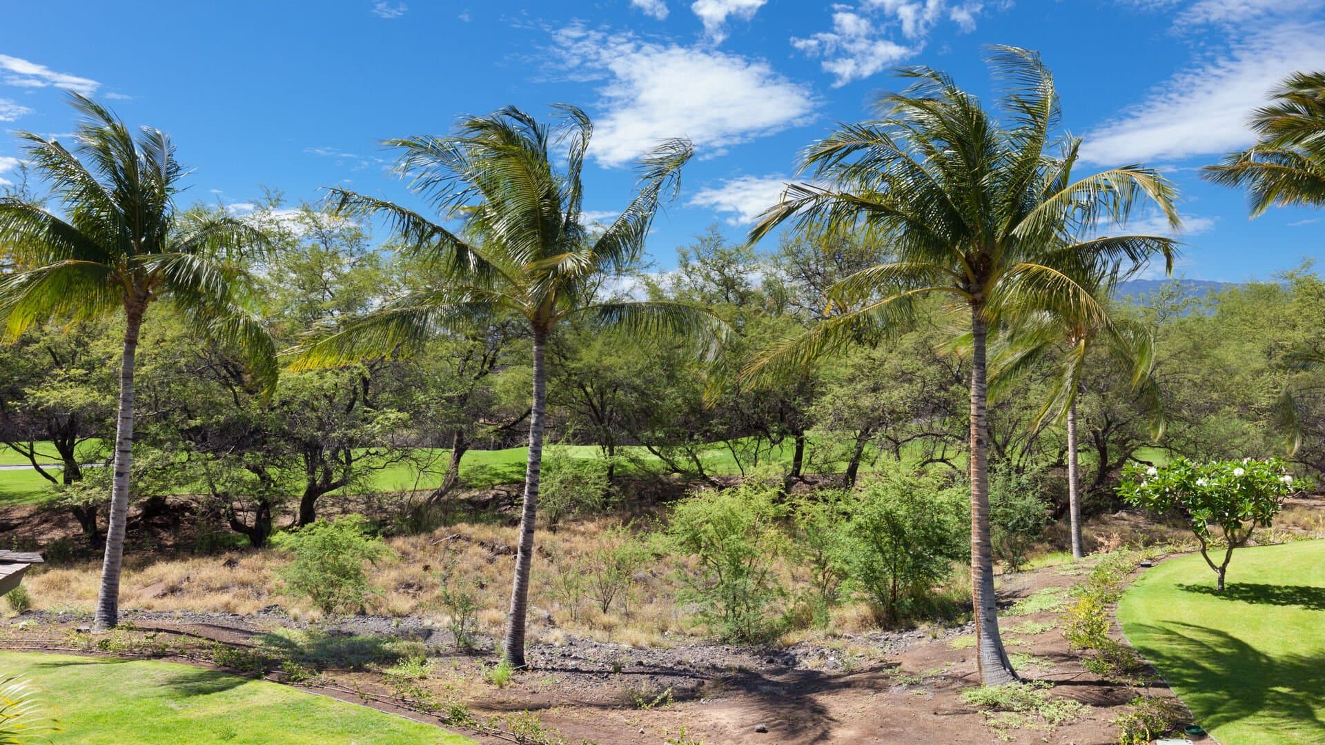 Paradise Found Villa - Image 26