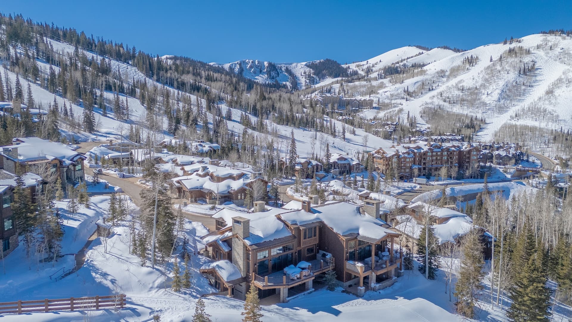 Silver Buck - Image 3