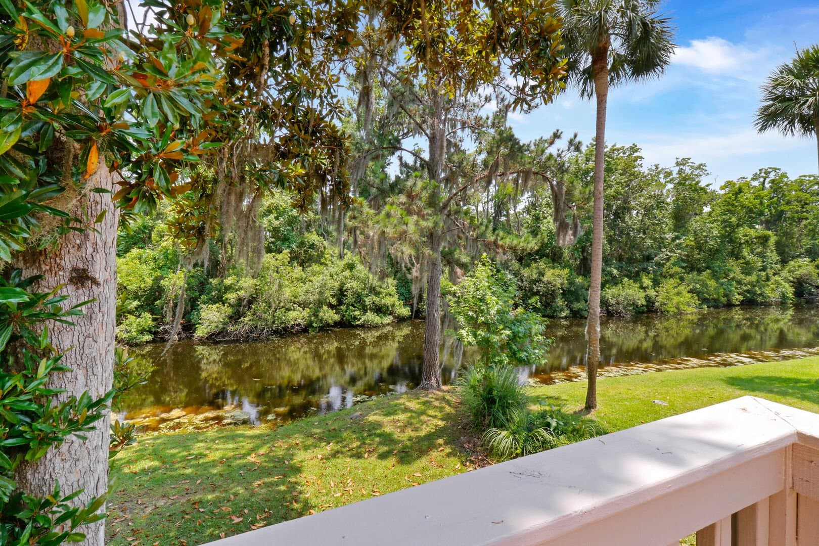 Sweet Carolina - Image 32