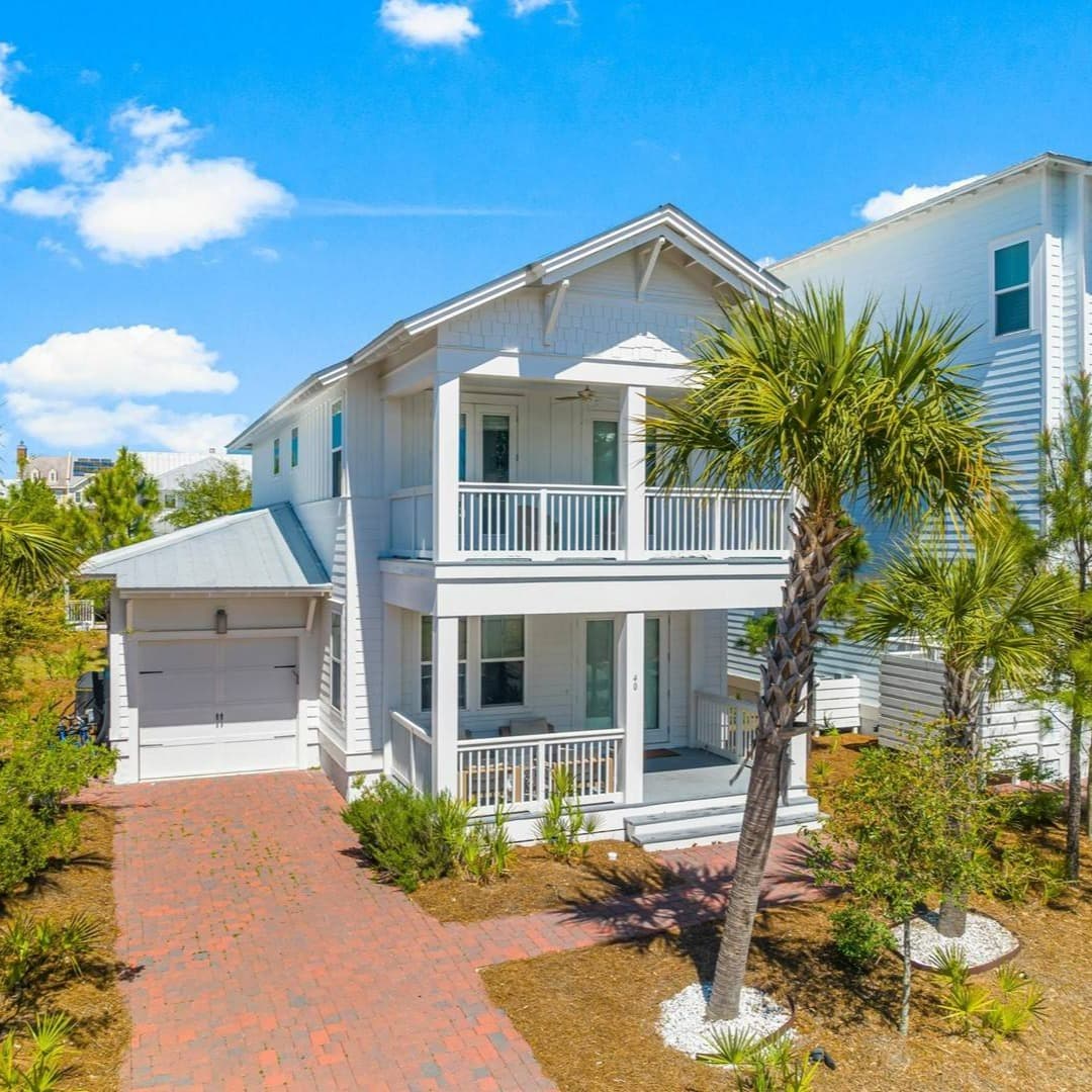 Palm Tree Paradise - Image 1