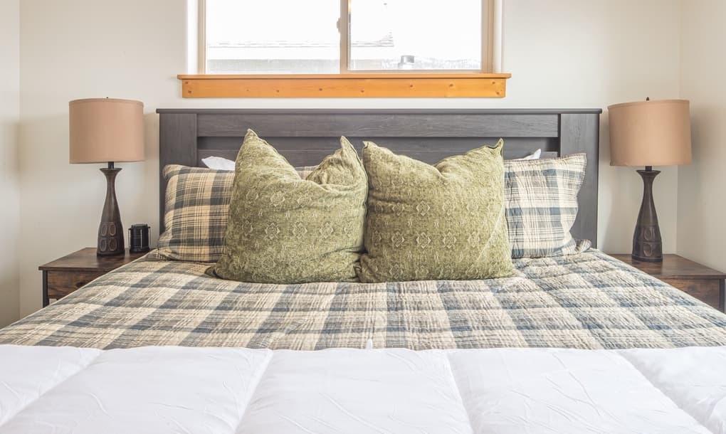 Blacktail Buck - Image 15