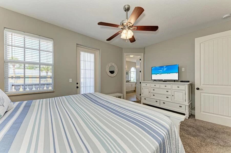 Island Nautilus - Image 15