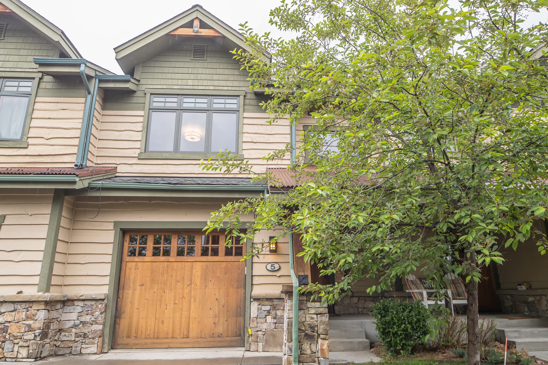 Cottonwood #5 - Image 2