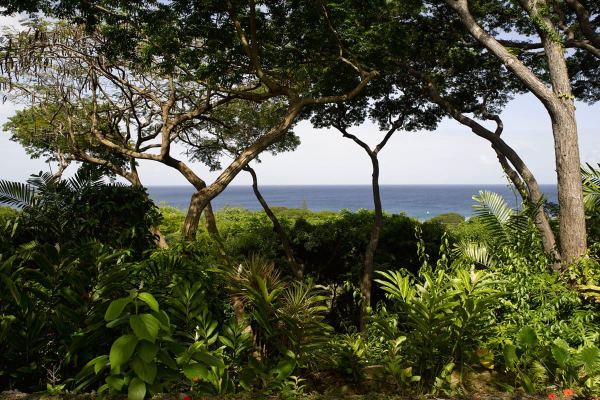 Wisteria Manor - Image 33