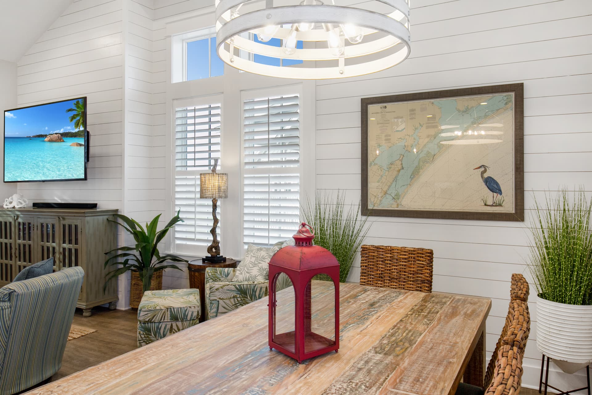 Deep Sea Parrot - Image 4