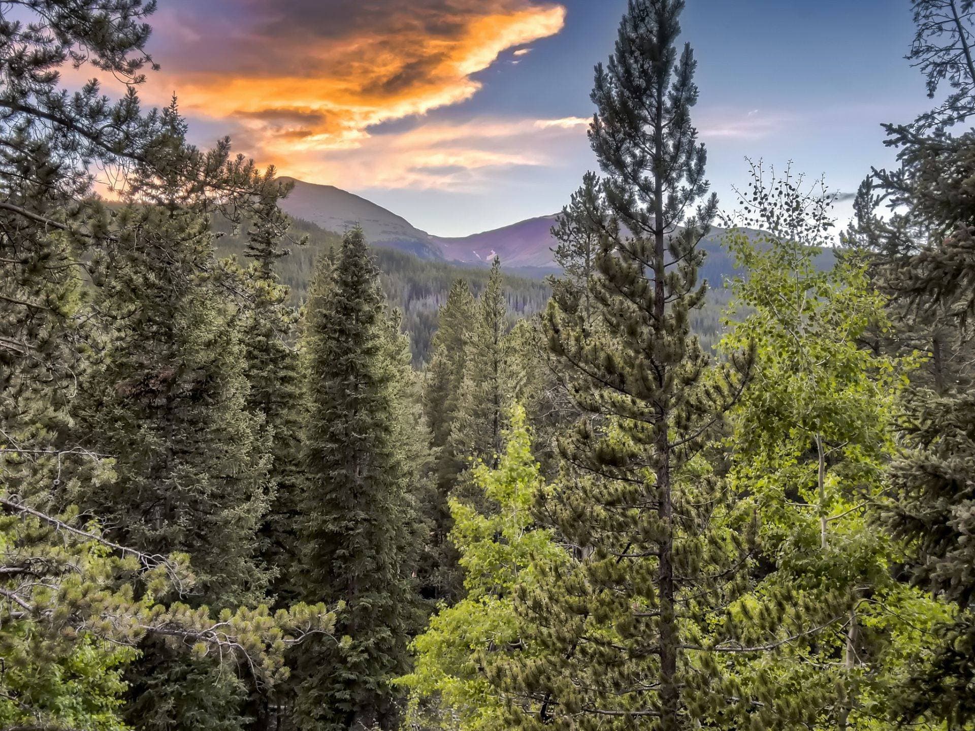 Pine Ridge Cabin - Image 46