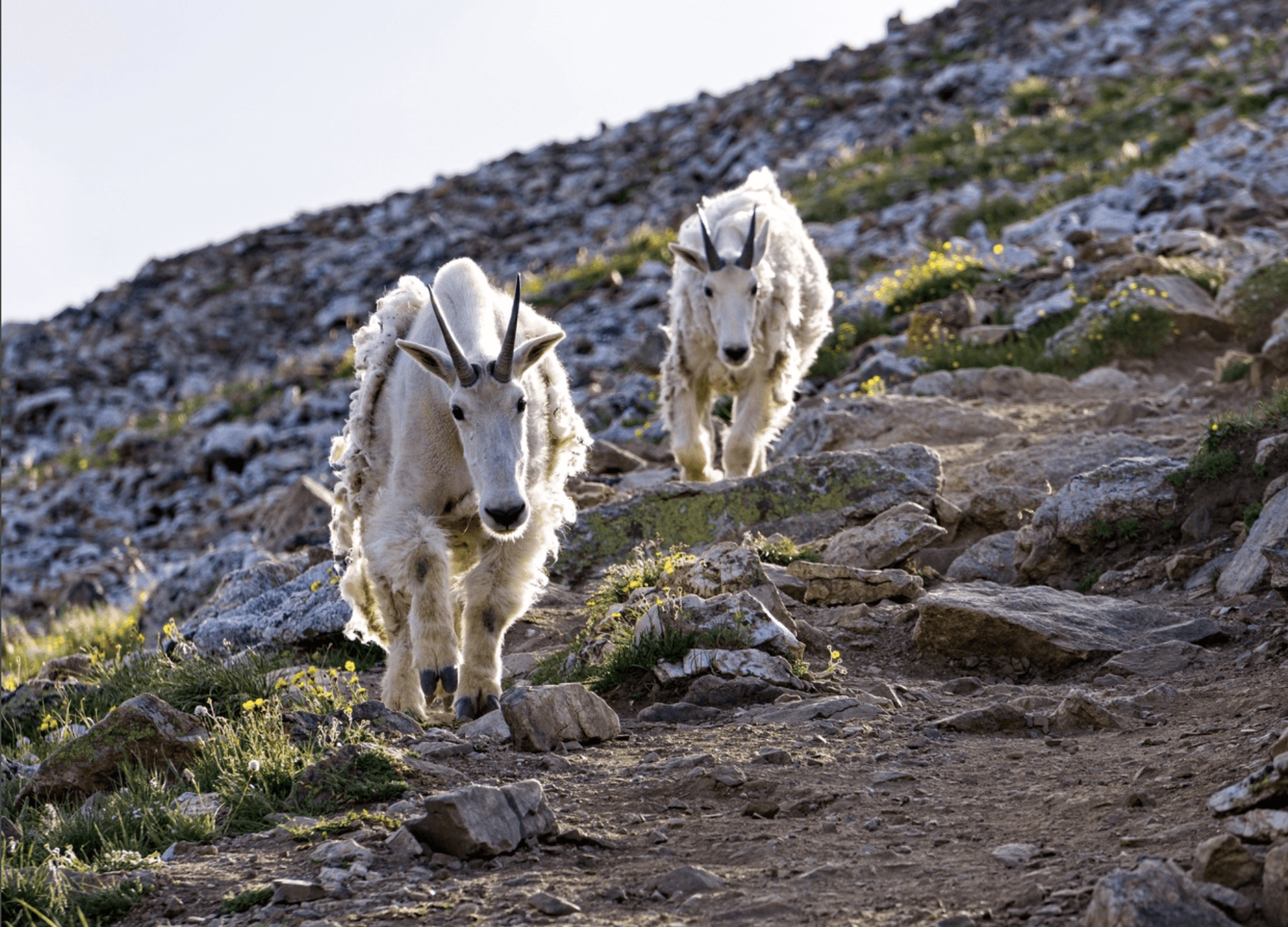 Vista Ridge - Image 42