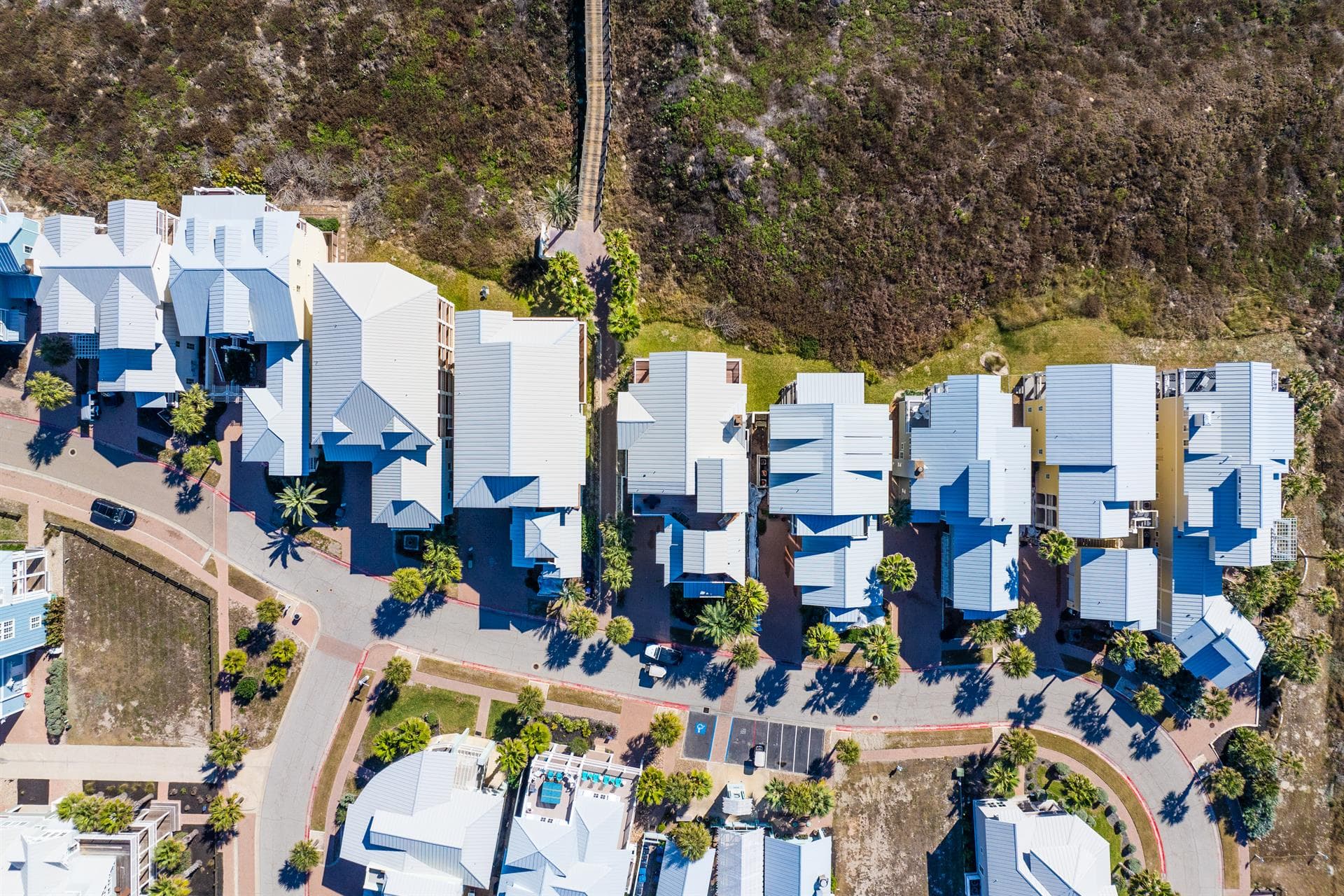 Sea of Dreams - Image 76