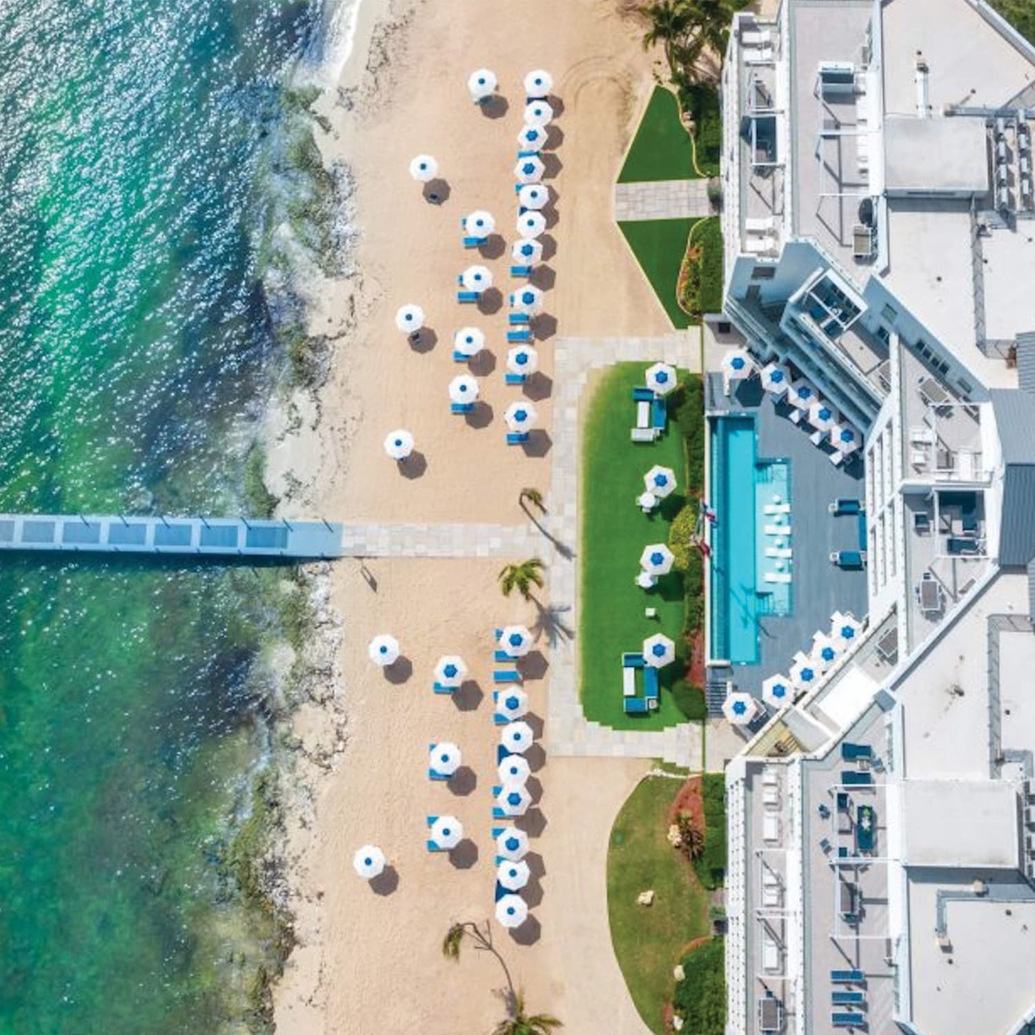 Marine Mirage - Image 1