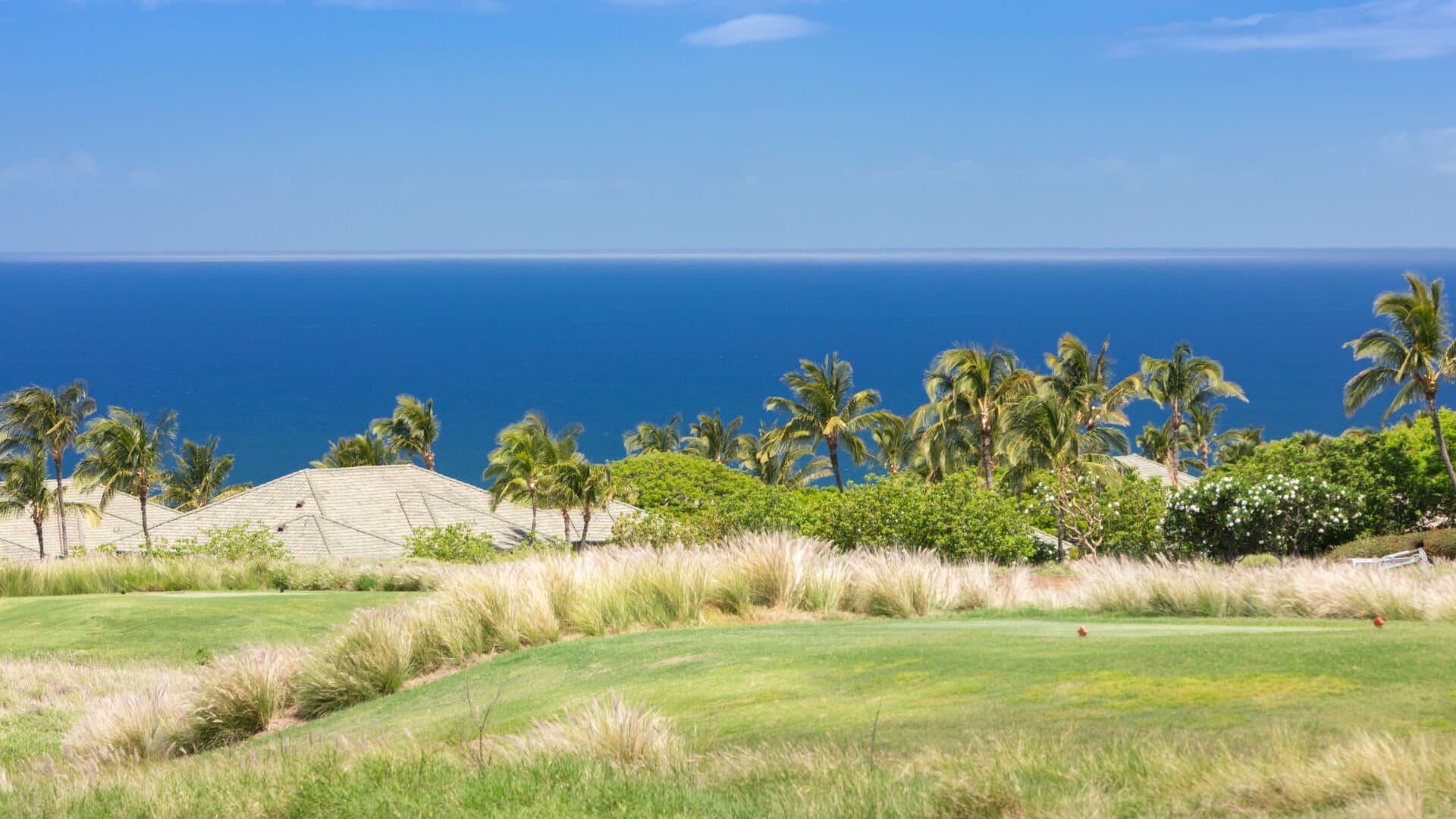 Mauna Kea Magic - Image 93