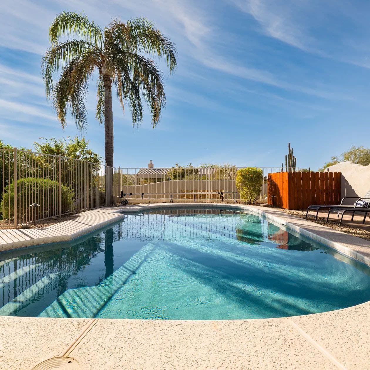 Sonoran Sunshine - Image 29