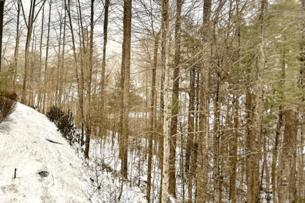 Still Lake Getaway - Image 35