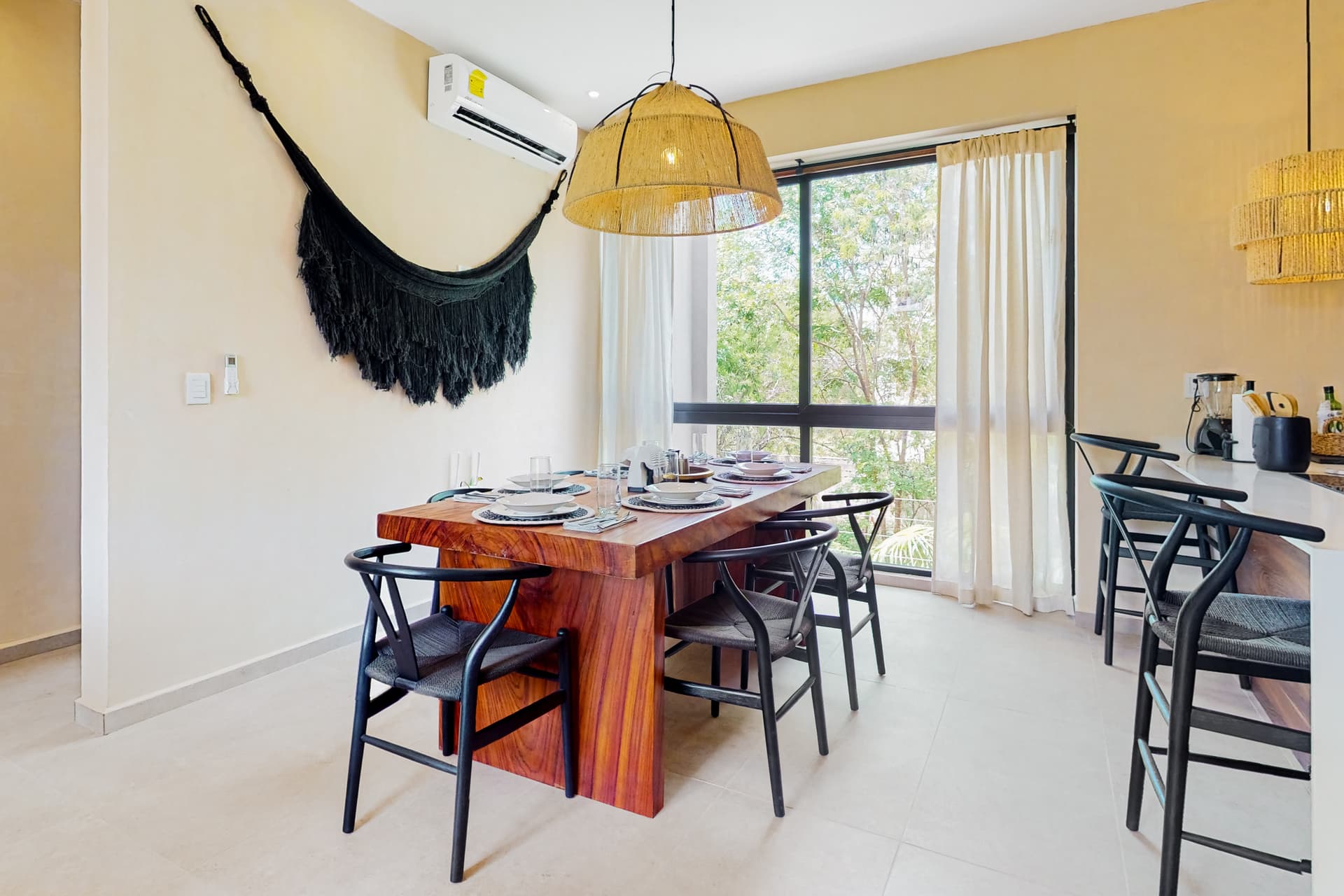 Fronds and Sun - Image 5