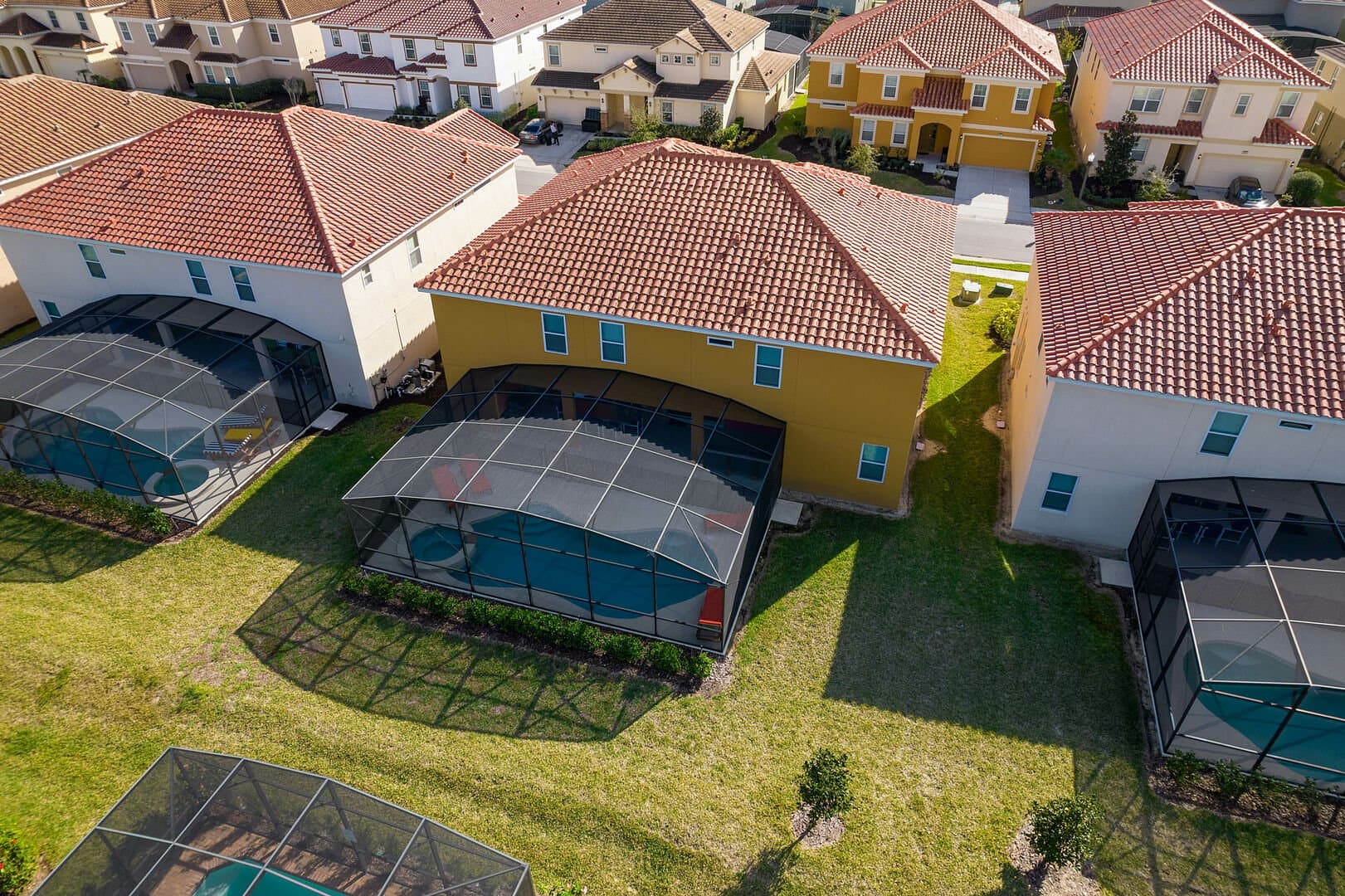 Florida Dreamin - Image 50