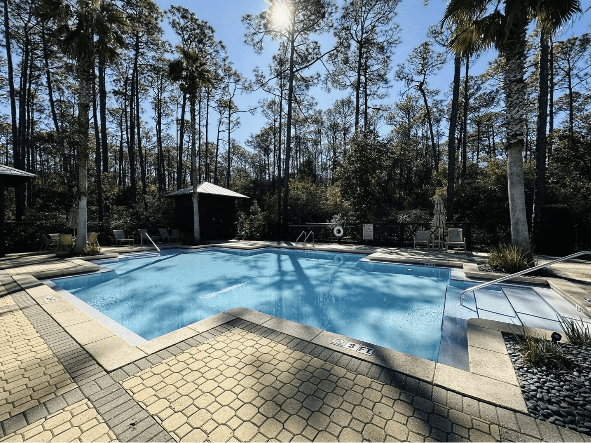 Pura Vida - Image 21