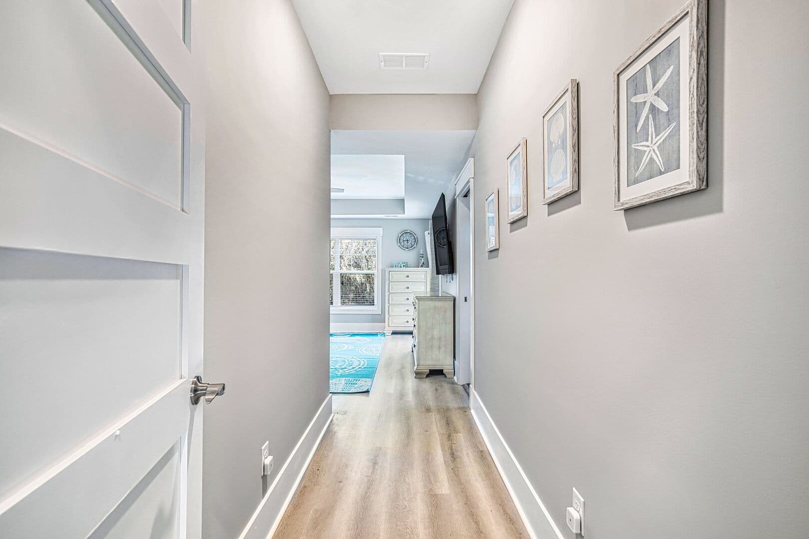 Turtle Tides - Image 25