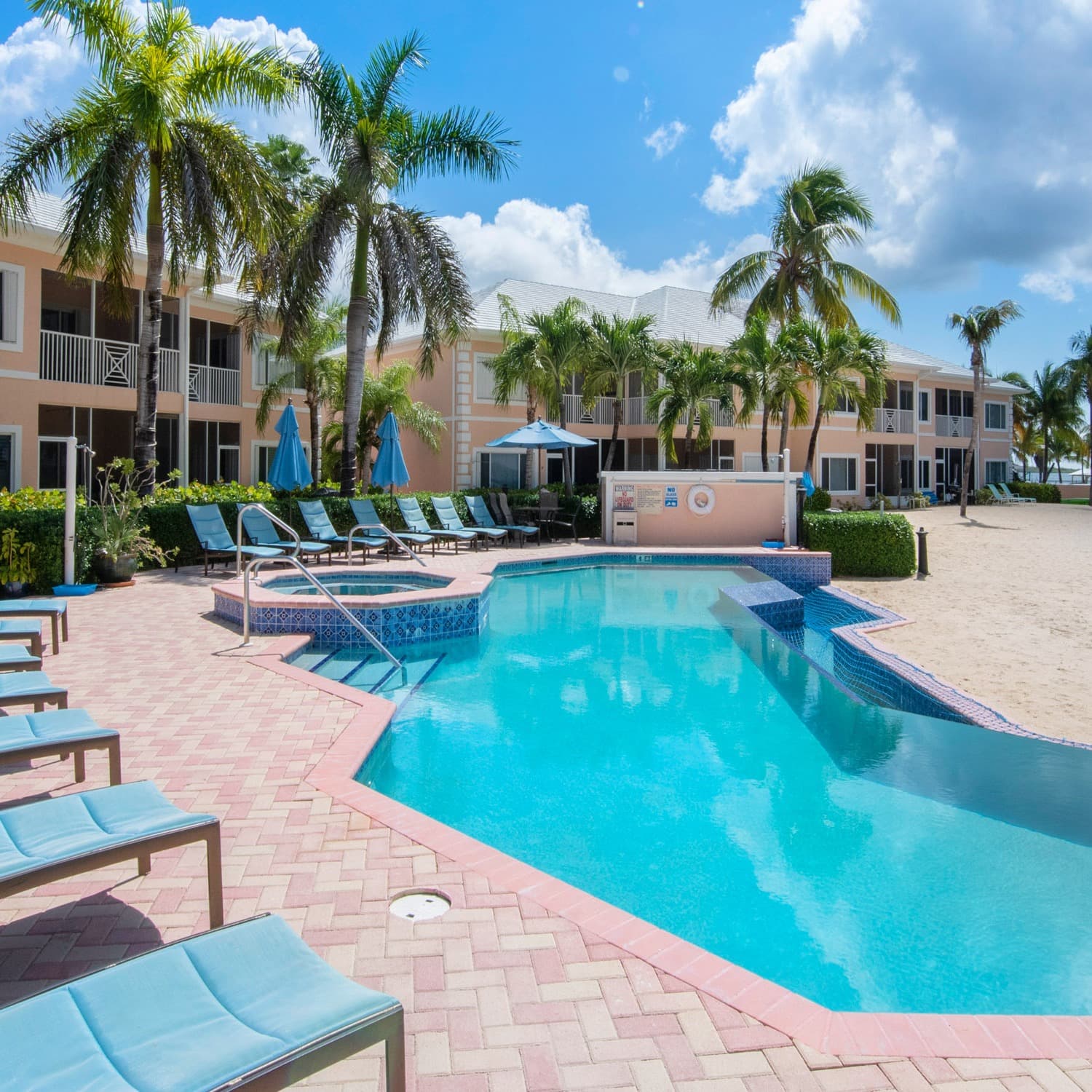 Starfish Kai - Image 1