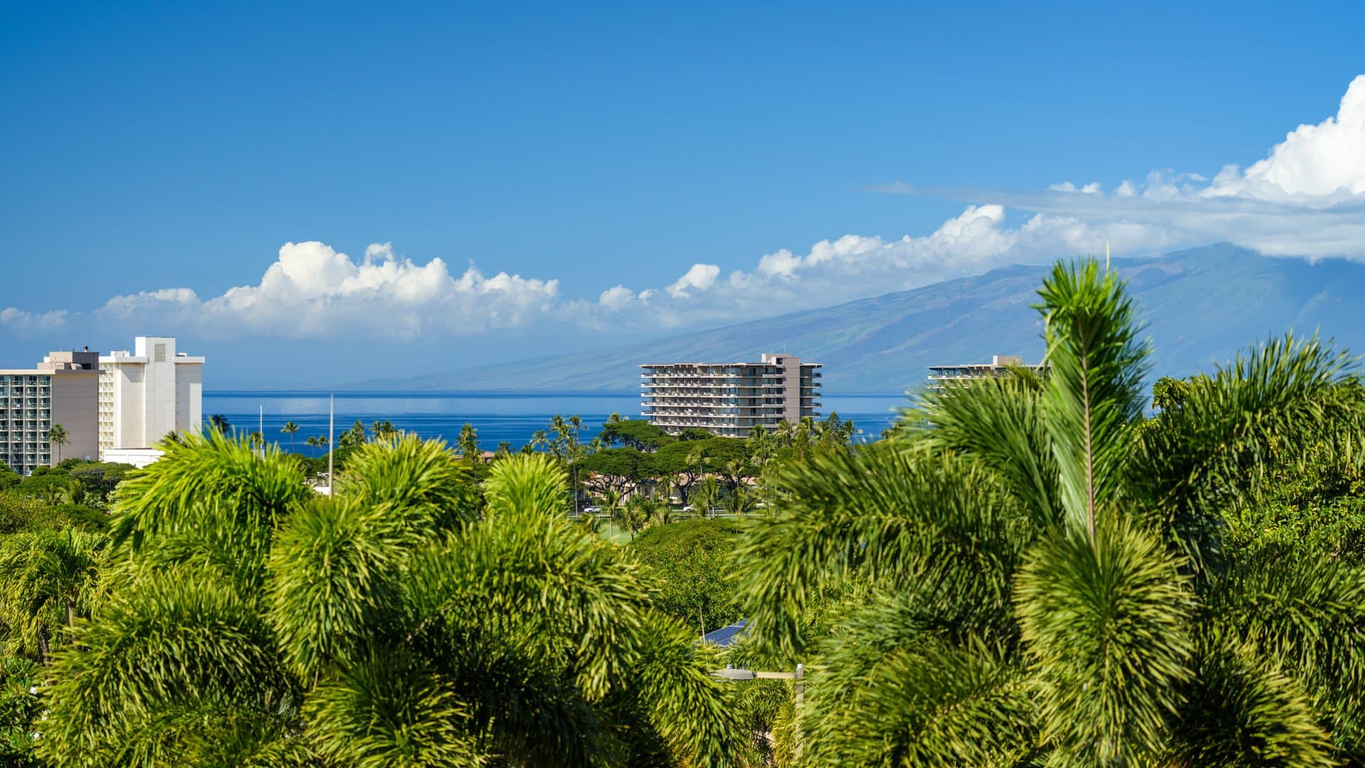 Summit Residence - Image 54