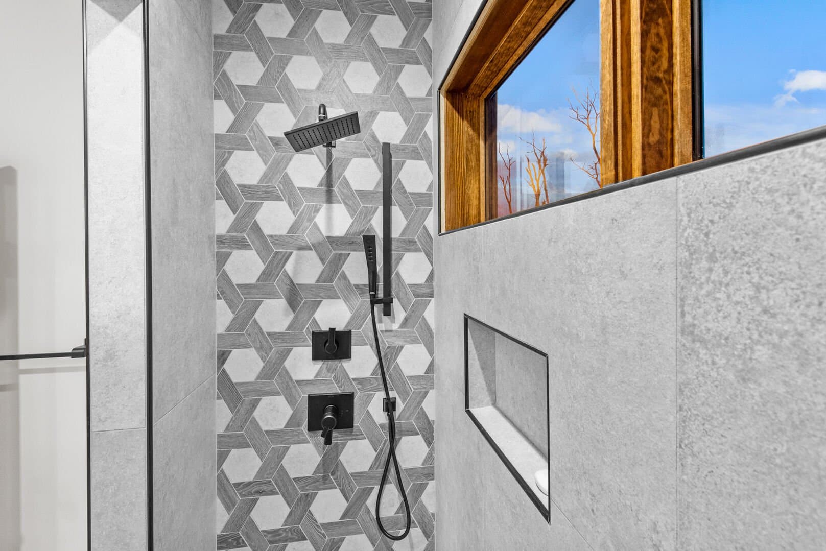 Dire Wolf at Eagles Nest - Image 38