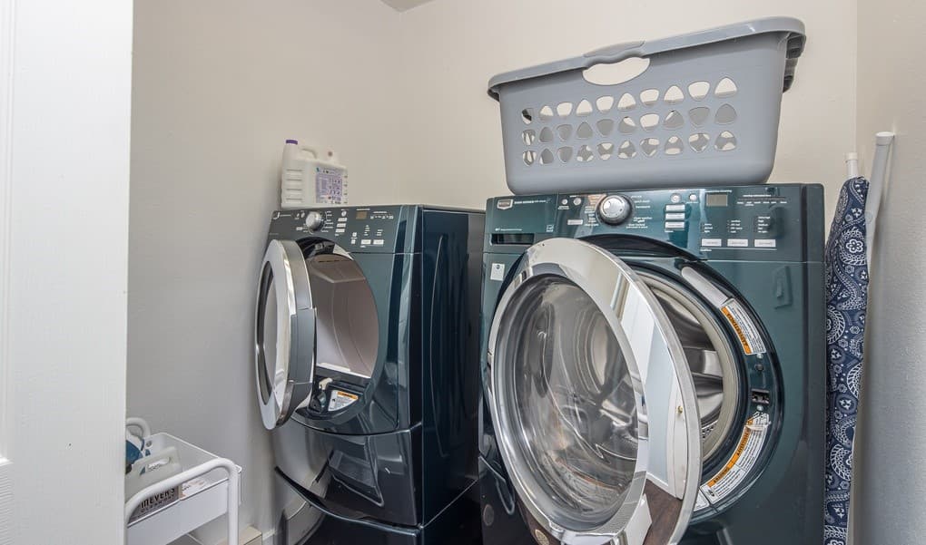 Aurora Lights - Image 9