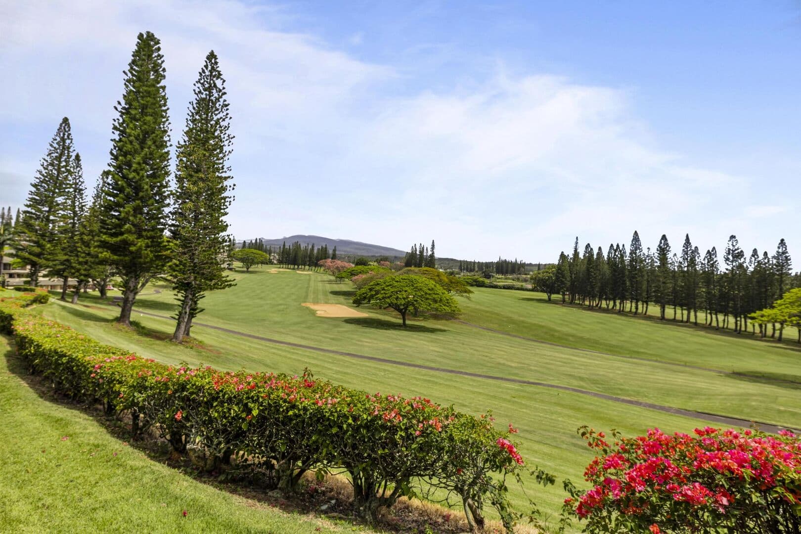 Kapalua Golf Villas 11P5-8 - Image 68