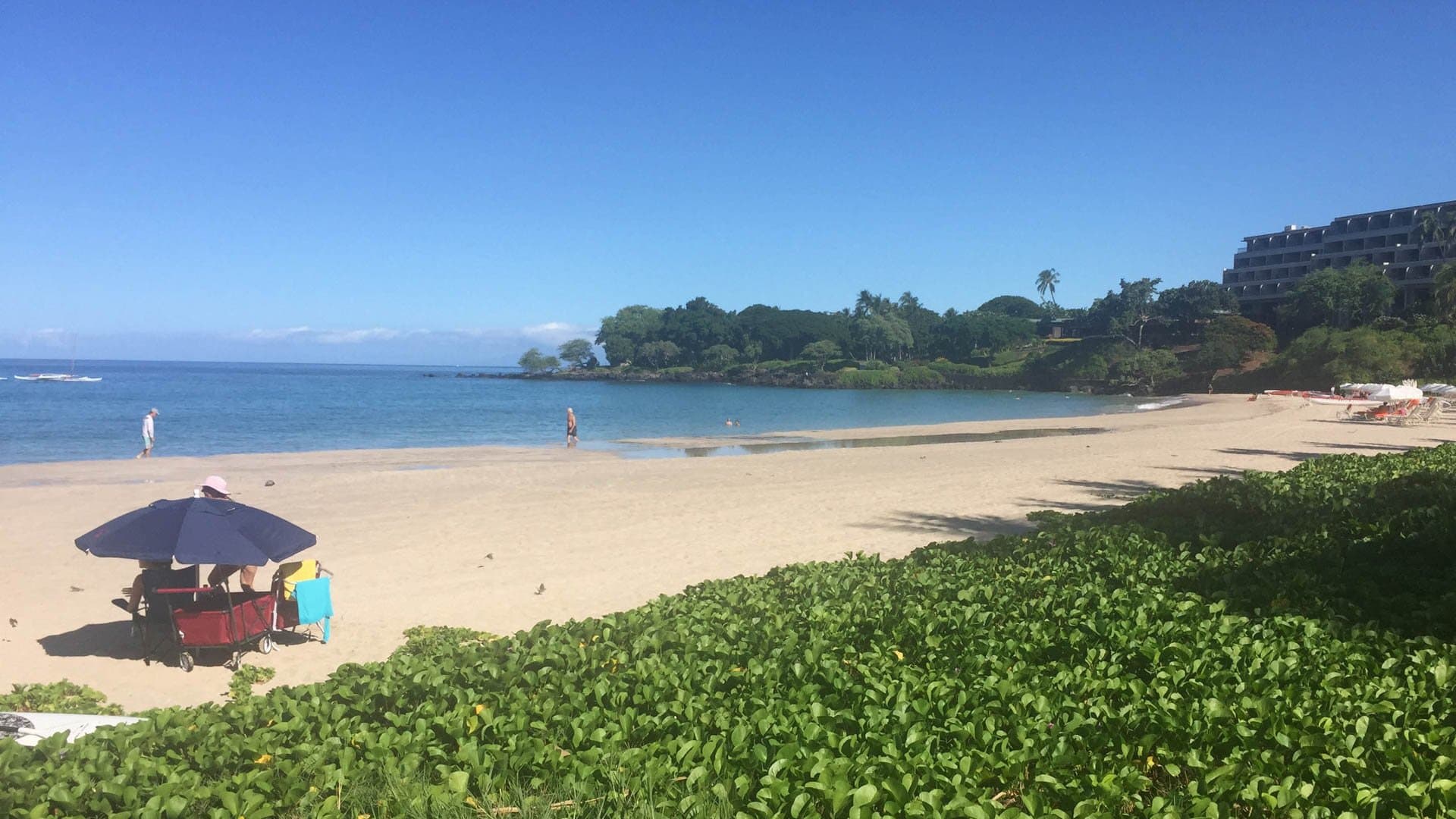 Aloha Shores - Image 58