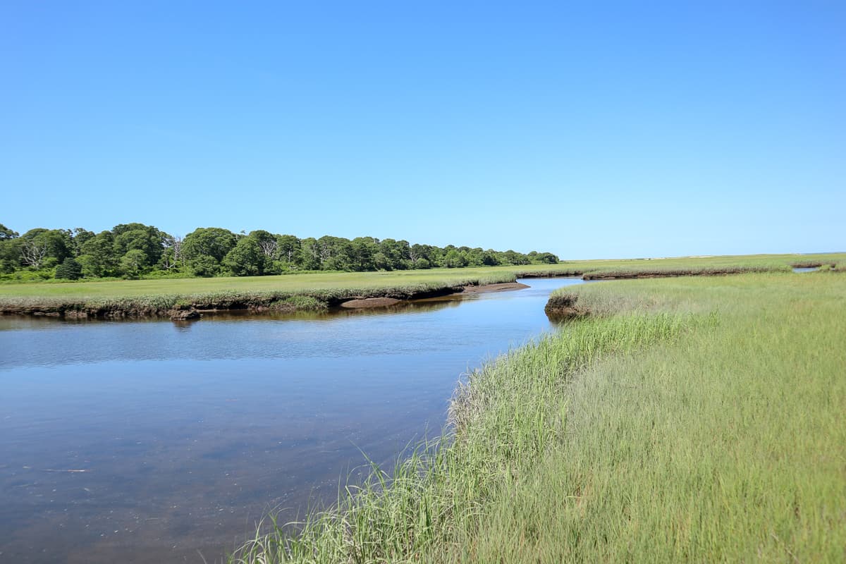 Quivett Compound  - Image 58
