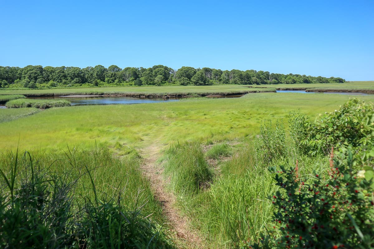 Quivett Compound  - Image 43