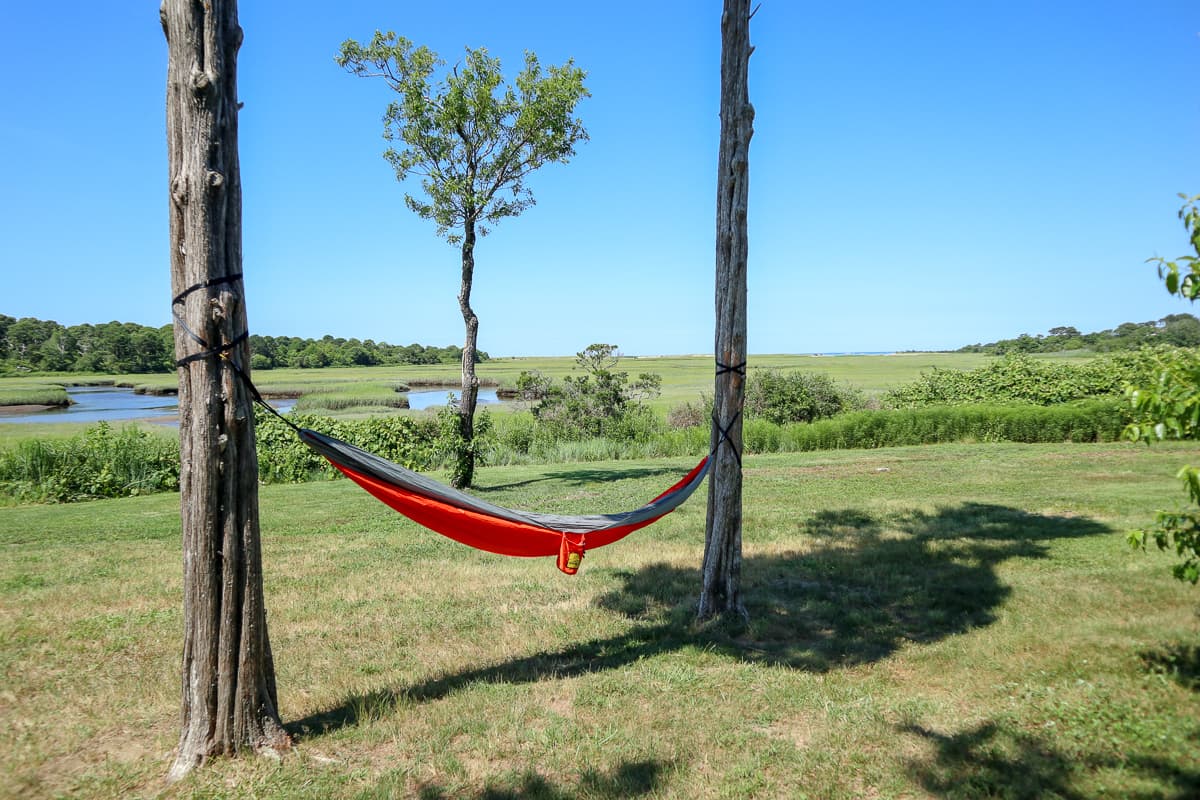 Quivett Compound  - Image 46