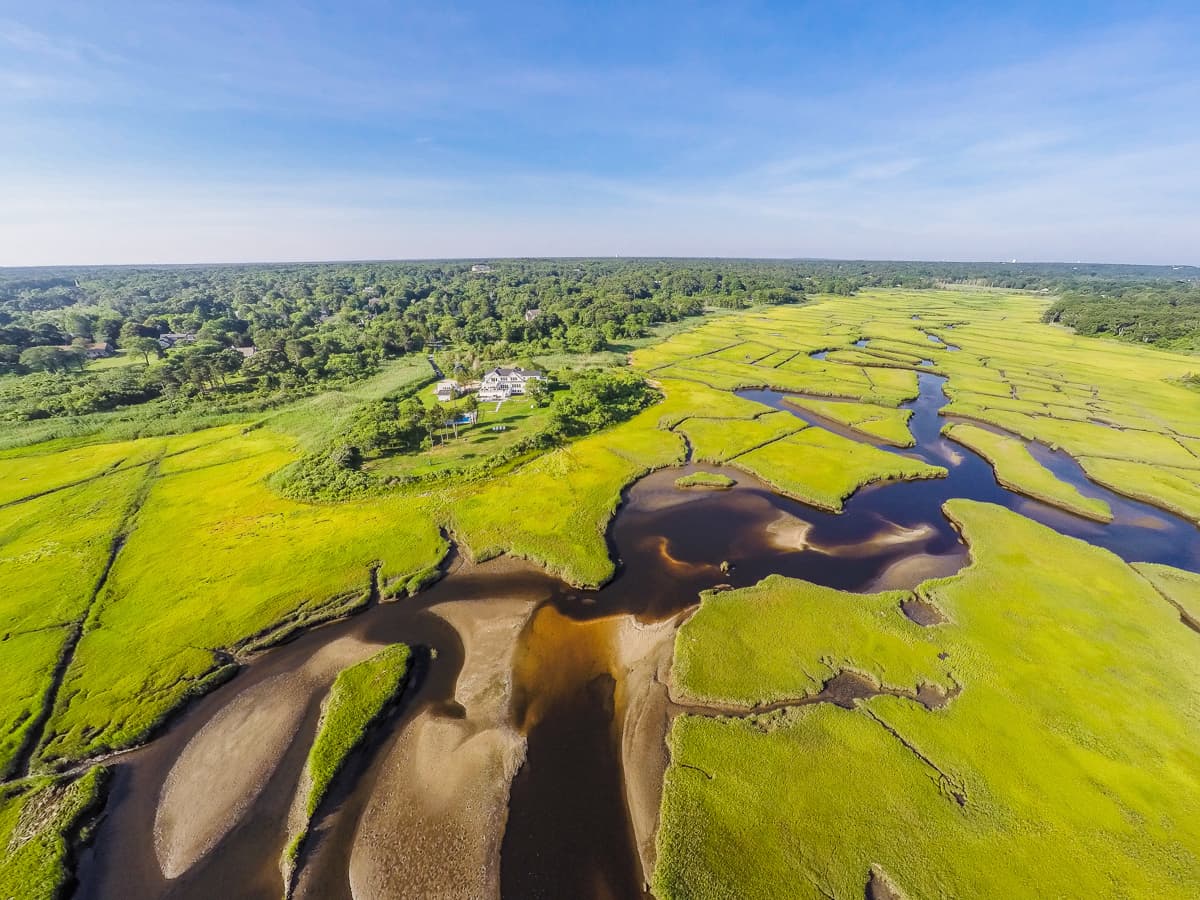 Quivett Compound  - Image 53