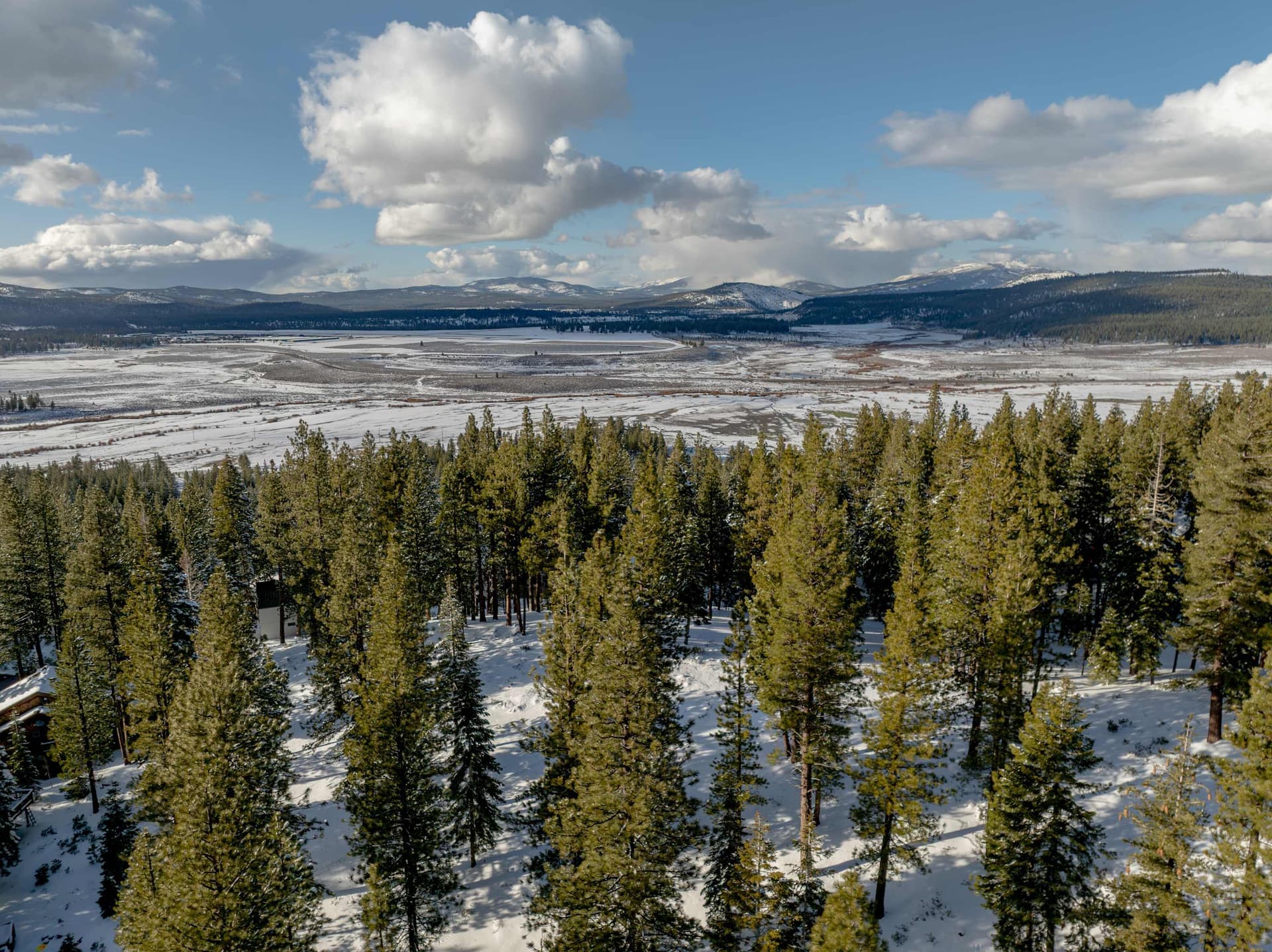 Lazy Bear - Image 39