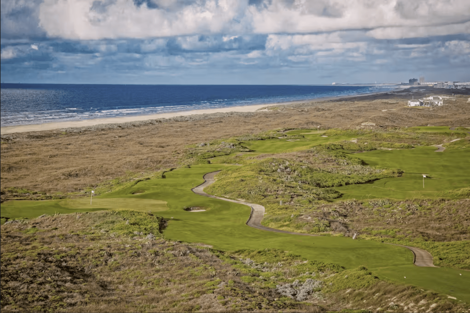 Coastal Happy Ours - Image 52