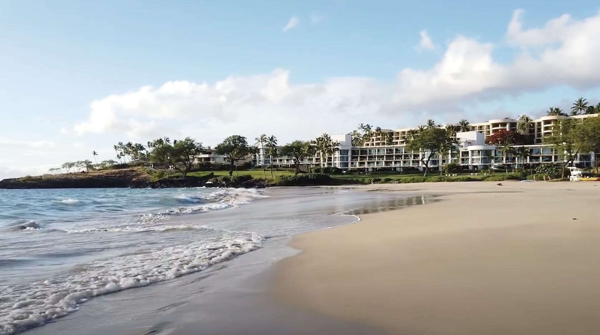 Hawaiian Elegance - Image 101