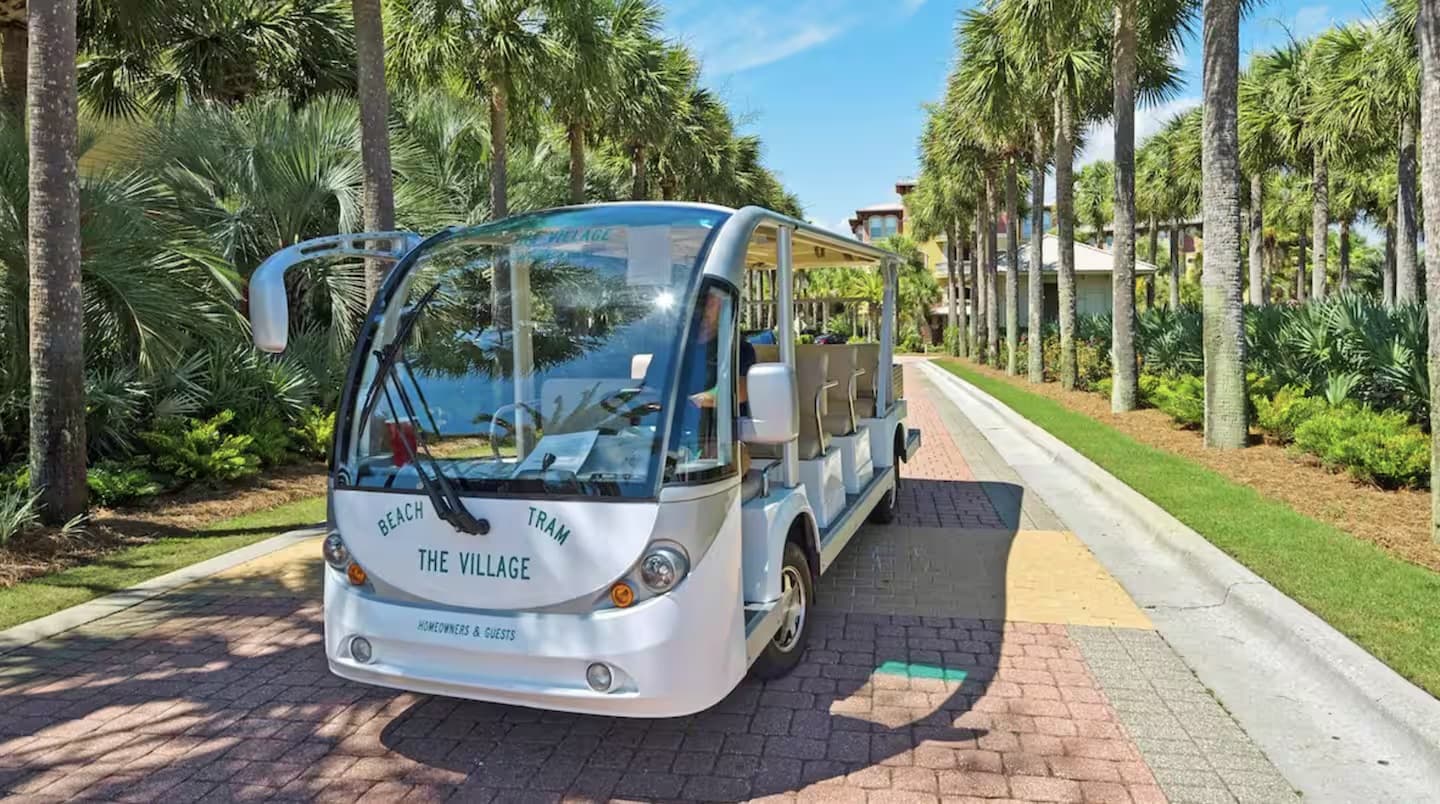 Micaseata - Image 47