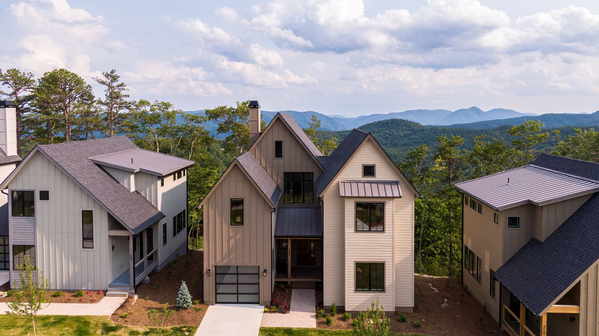 Views of Fortune - Image 2