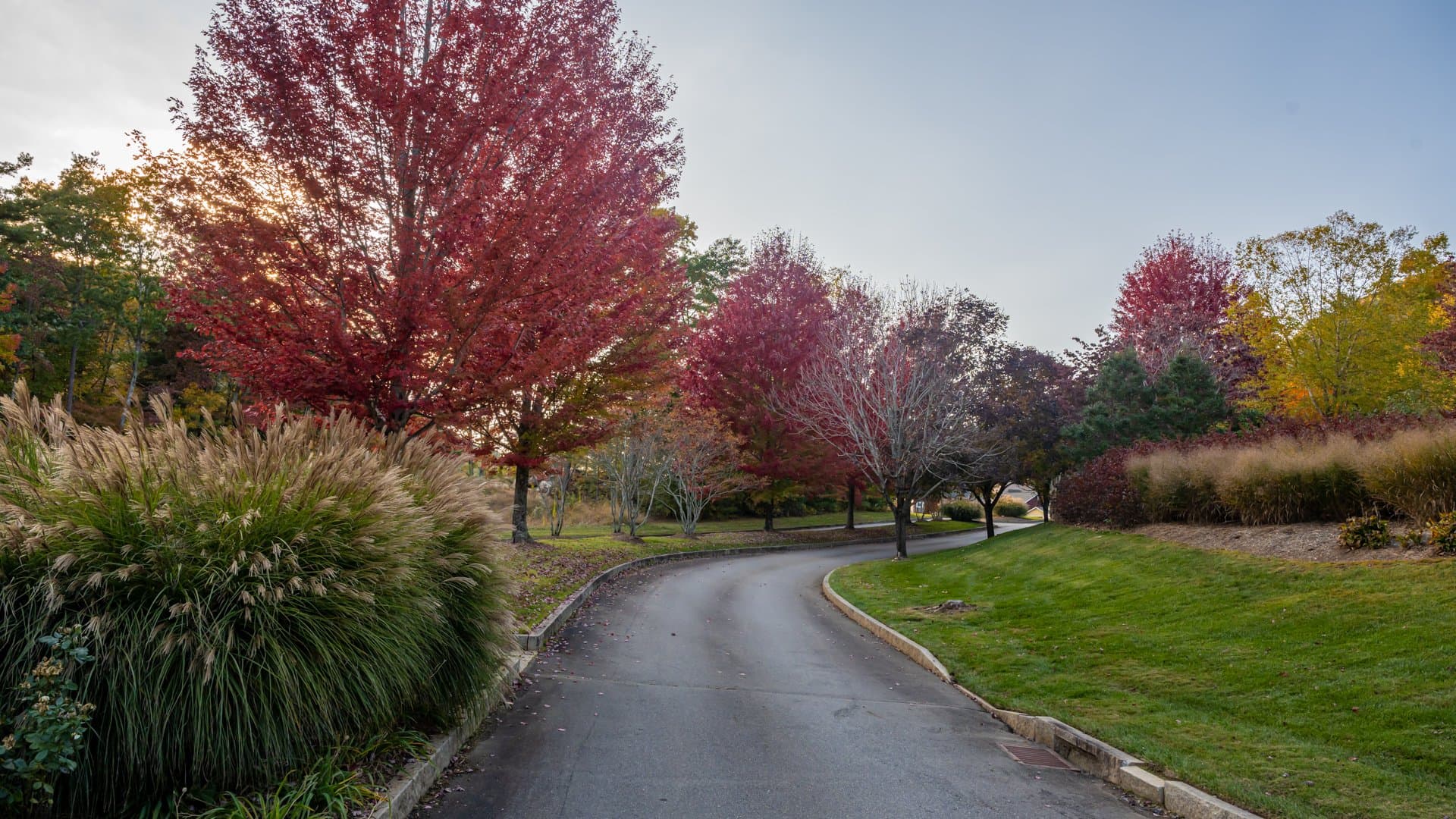 Summerfield House - Image 40