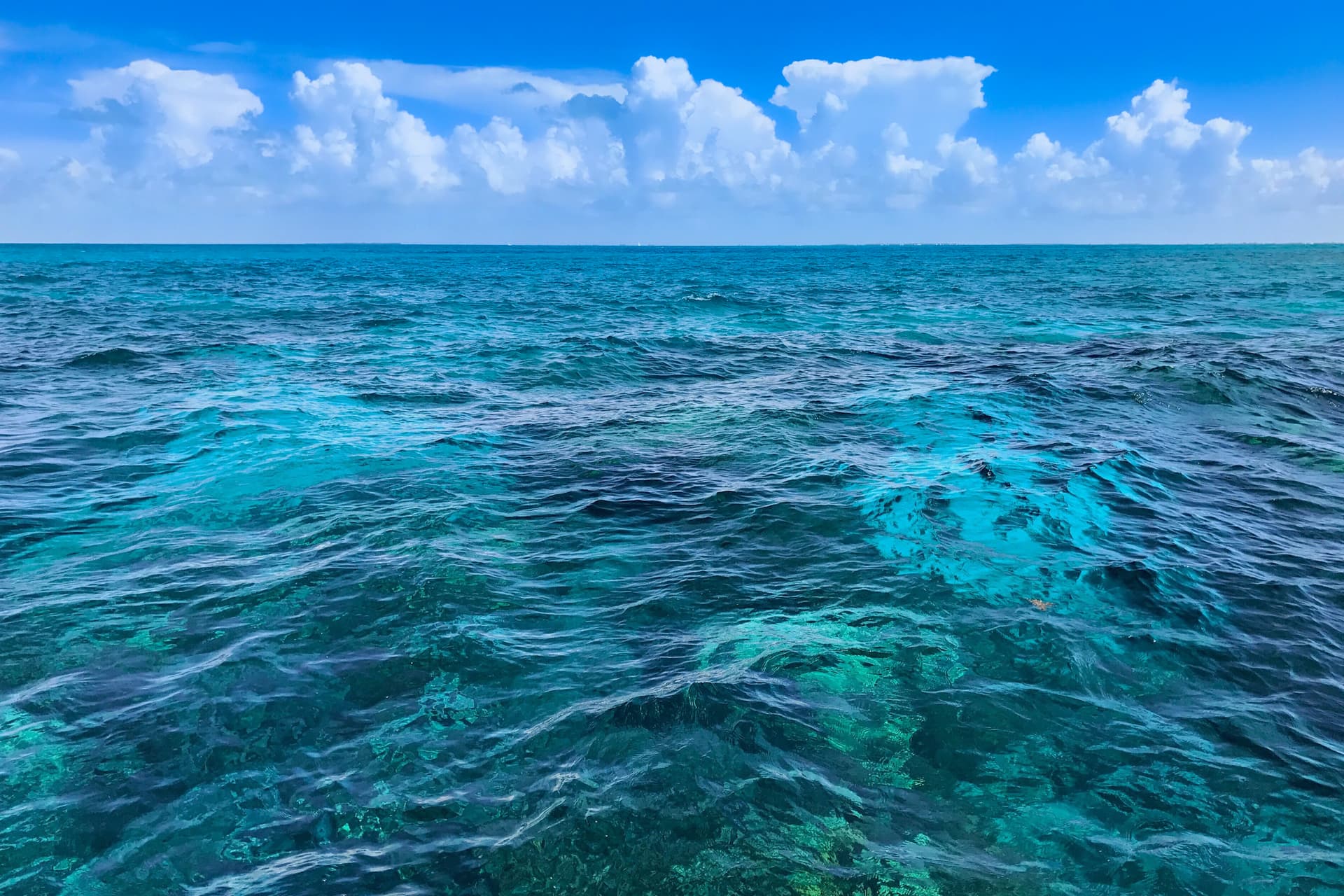 Cayo Coco Suite - Image 33