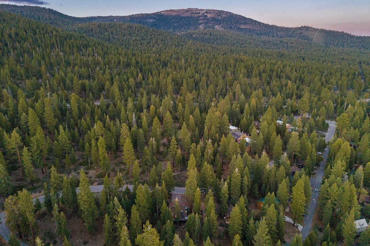 Timberline Haven - Image 44