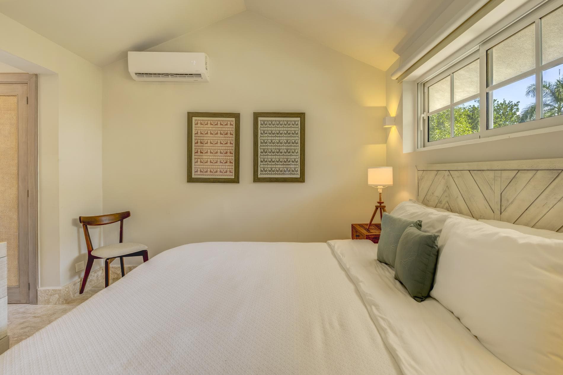 Tortuga #B55 - Image 18