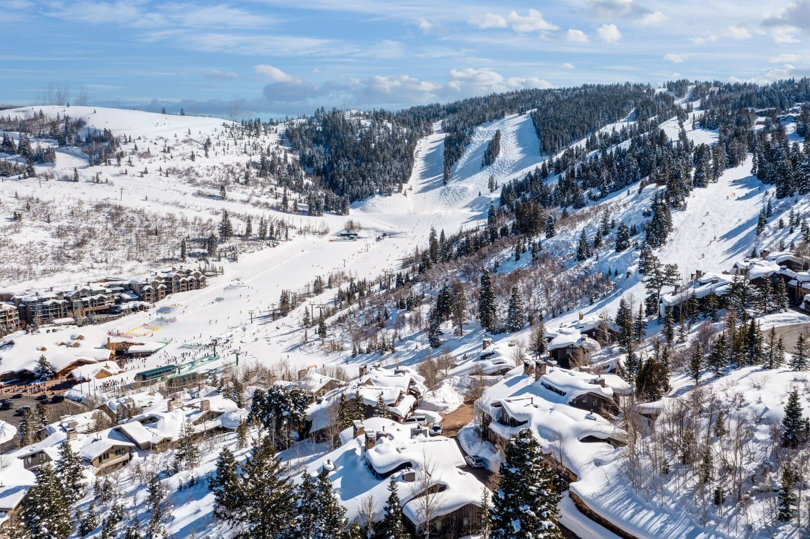 Success View - Image 47