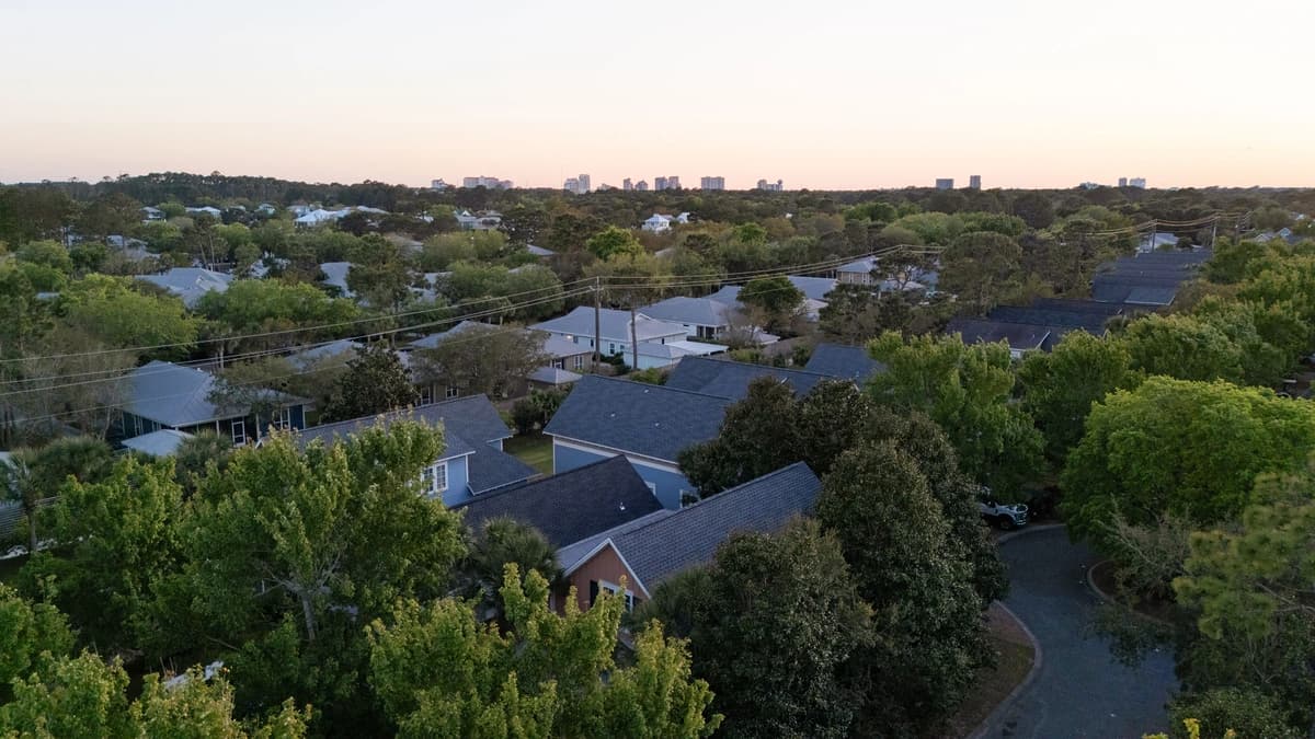 Coral Starfish - Image 36