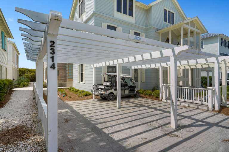 Sea Sabella - Image 8