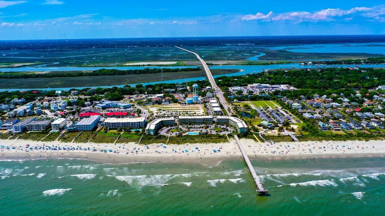 Blue Heron - Image 58