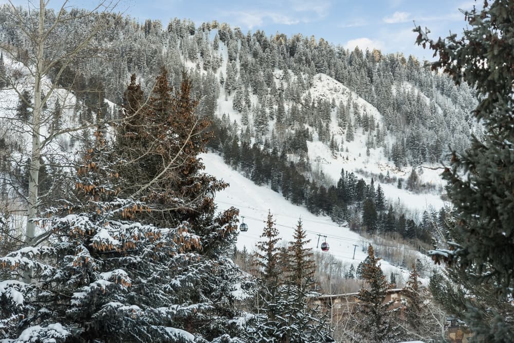 Chateau Snow - Image 8