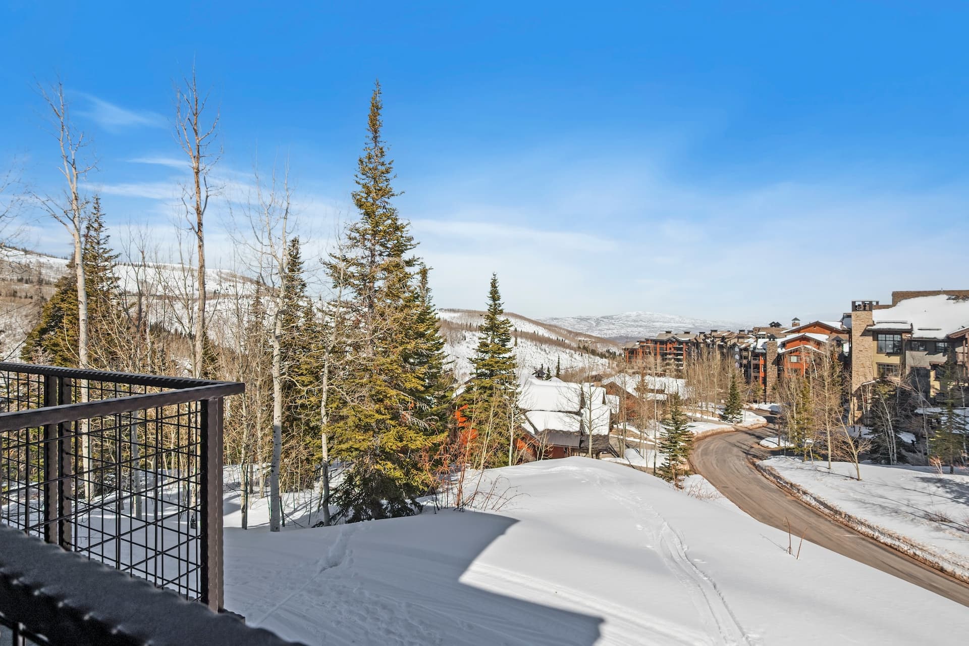 Silver Buck - Image 53