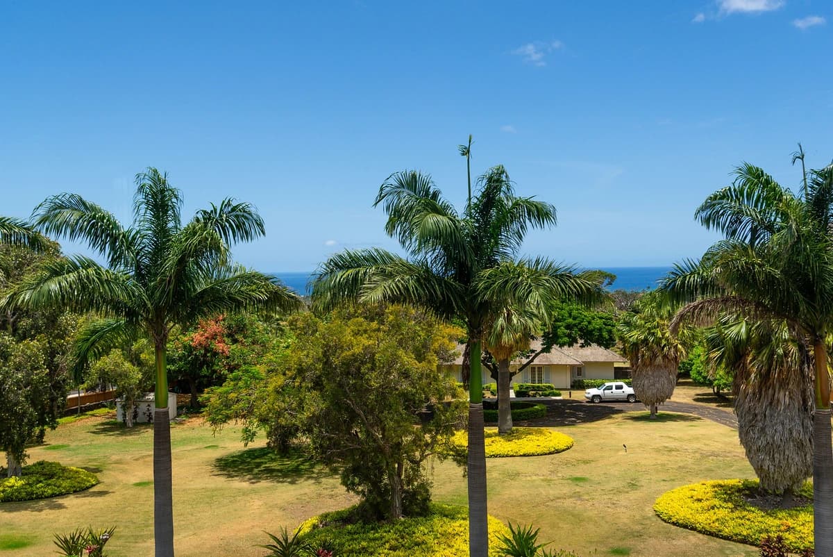 Aloha Breeze - Image 37