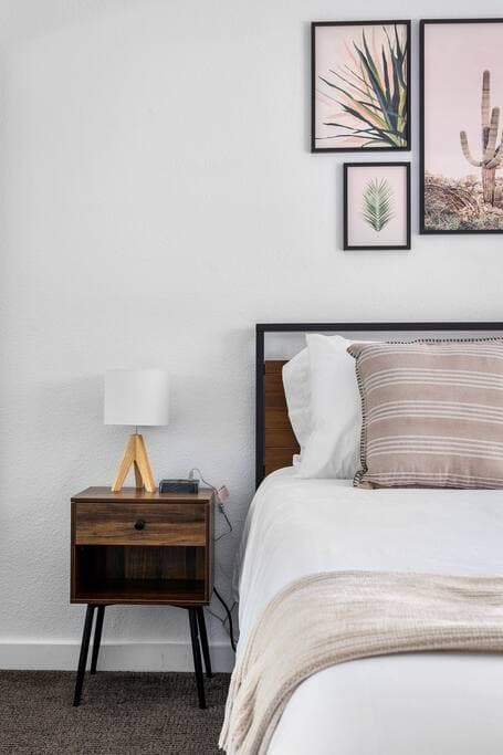 Lux Palmas - Image 28