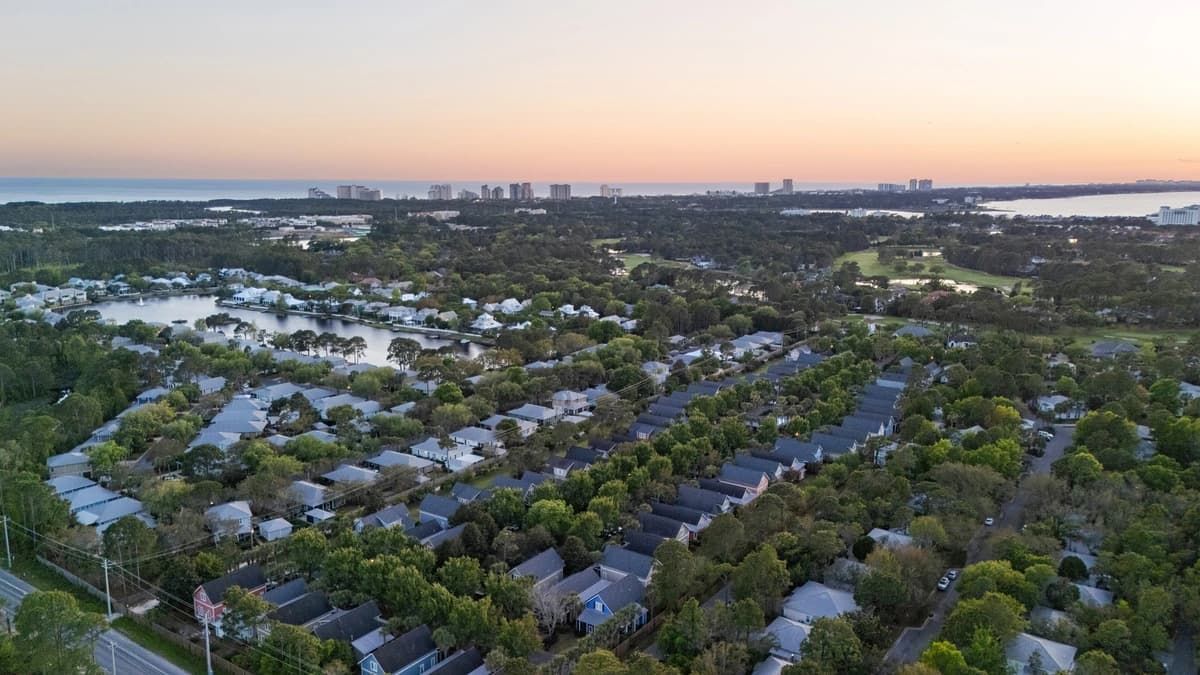 Coral Starfish - Image 35